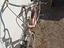 Immagine 2