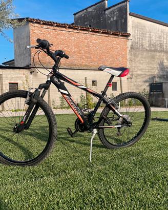 Mountain Bike 24''