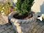 Immagine 27