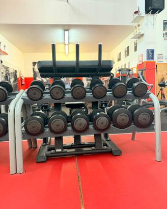 Manubri Technogym