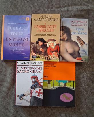 lotto 12 libri di narrativa