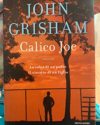 Libro: Calico Joe di John Grisham