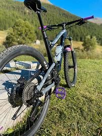 Gt Sensor Carbon Expert 