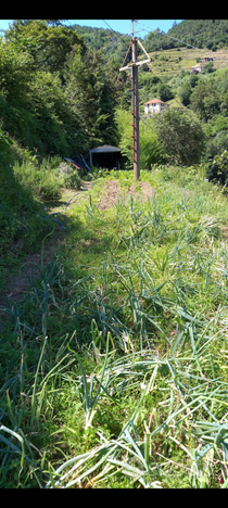 Terreno agricolo non carrabile