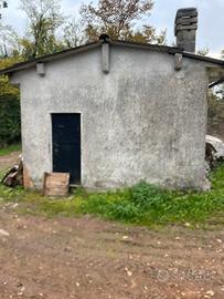 Rustico con terreno