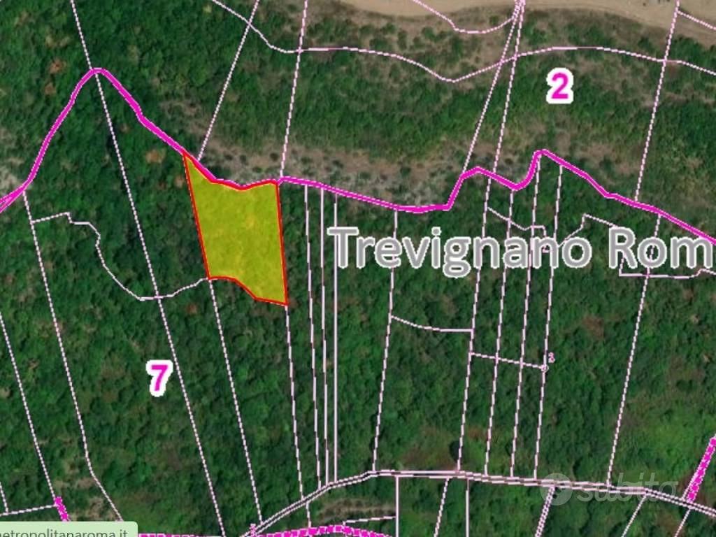 Terreno di 10000 m² a Trevignano Romano - Altro