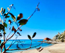 CASE VACANZA SANGENI a Capo Vaticano zona Tropea