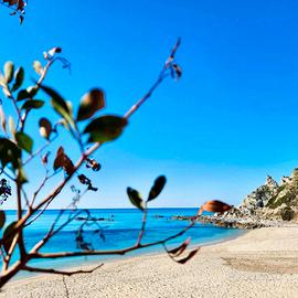 CASE VACANZA SANGENI a Capo Vaticano zona Tropea