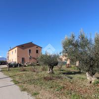 CASA INDIPENDENTE A BELLANTE