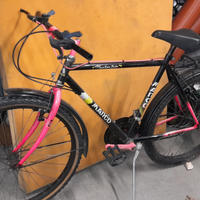 Mountain bike