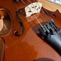 Violino Gewa Allegro 4/4