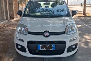 Fiat panda 2017 