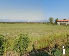 Terreno agricolo irriguo