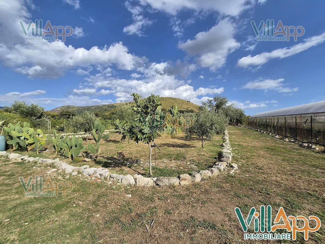 Terreno Agricolo - Fondi - Vista 4