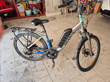 bici elettrica 