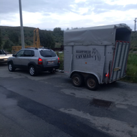 Trailer trasporto cavalli