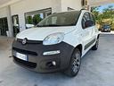 fiat-panda-1-3-mjt-80-cv-s-s-4x4