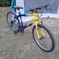 Bicicletta bambini 8/12 anni