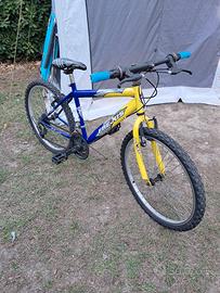 Bicicletta bambini 8/12 anni