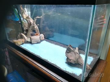 acquario 250l con sump