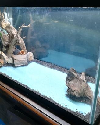 acquario 250l con sump