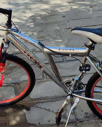 Mountain bike e bici da donna