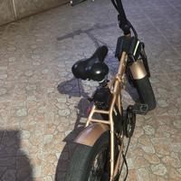 Bici elettrica