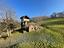 Immagine 17