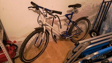 Bicicletta Mountain bike
