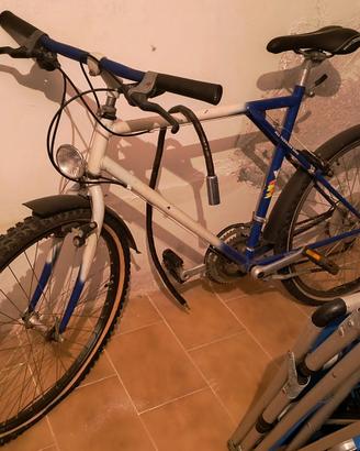 Bicicletta Mountain bike