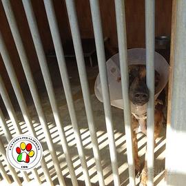 KRISTI una bellezza particolare