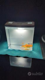 acquario mini
