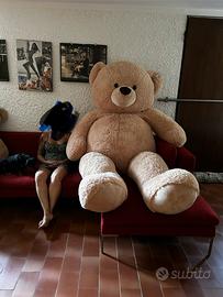 Peluche