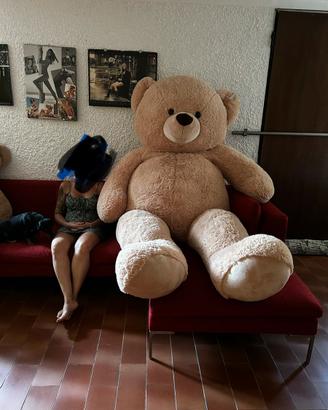 Peluche