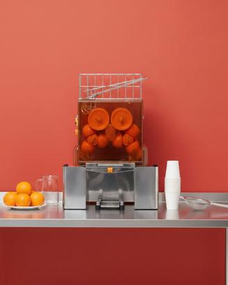 SPREMIAGRUMI 690 Automatico Professionale Acciaio