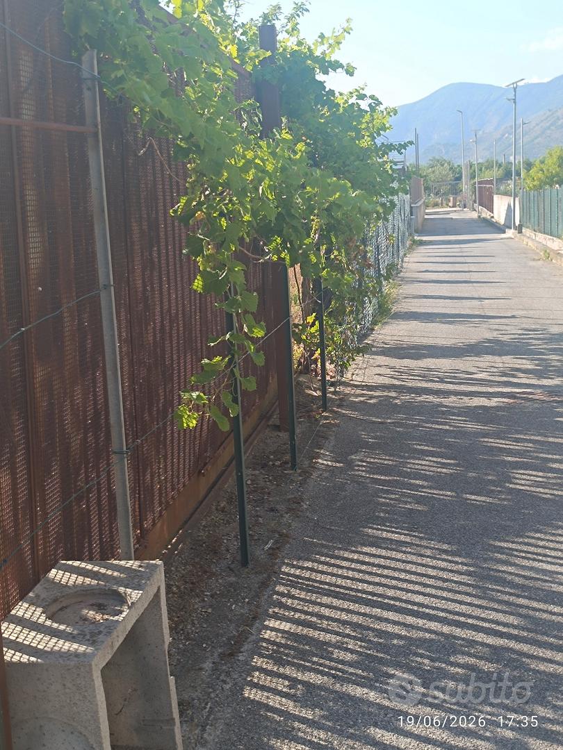 Terreno con deposito - Vista 3