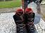 Immagine 5