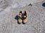 Immagine 6