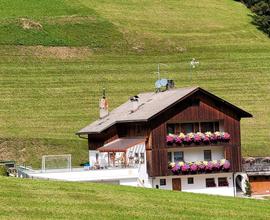 Alpin Chalet Frenademetz