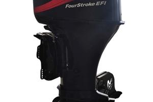 Motore mercury 40cv 4t