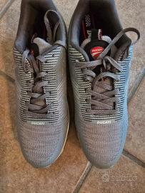 Scarpa da ginnastica ducati
