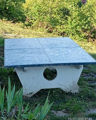 tavolo da ping pong