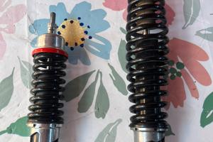 Ammortizzatori carbone vespa 50 special