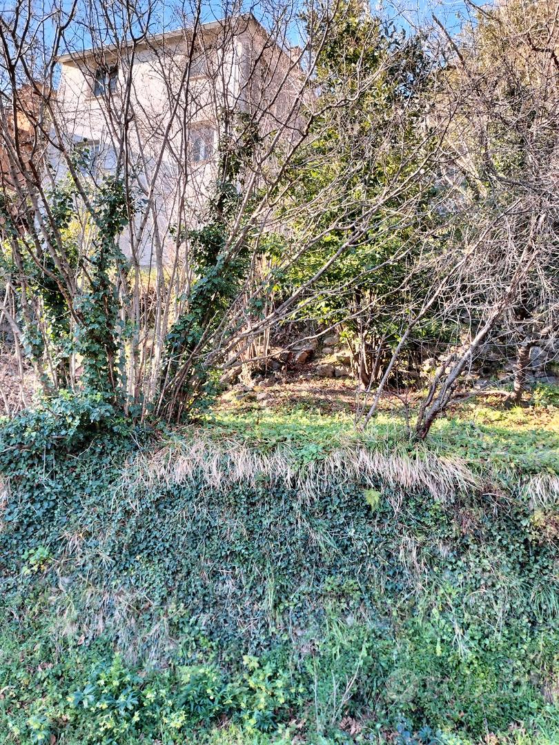 Rustico con terreno - Vista 2