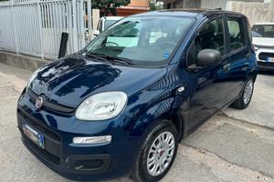 Fiat Panda 1.2 Benzina Clima 5 Posto Omologato Mus