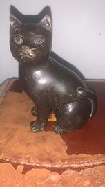 Gatto