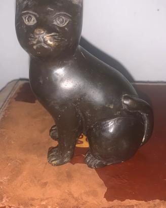 Gatto