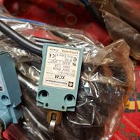 interruttore finecorsa