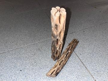 legni di torbiera, noce di cocco