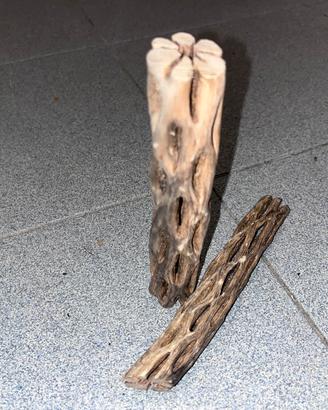 legni di torbiera, noce di cocco